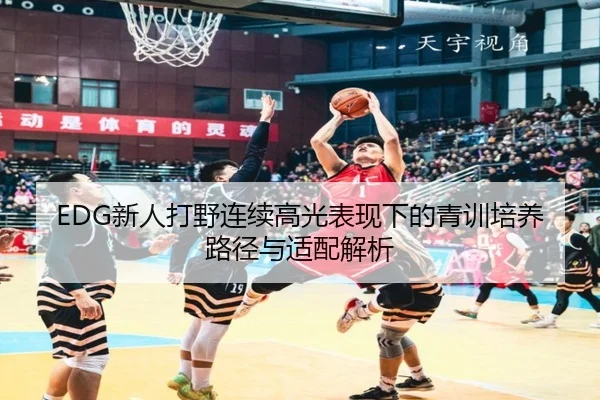 EDG新人打野连续高光表现下的青训培养路径与适配解析