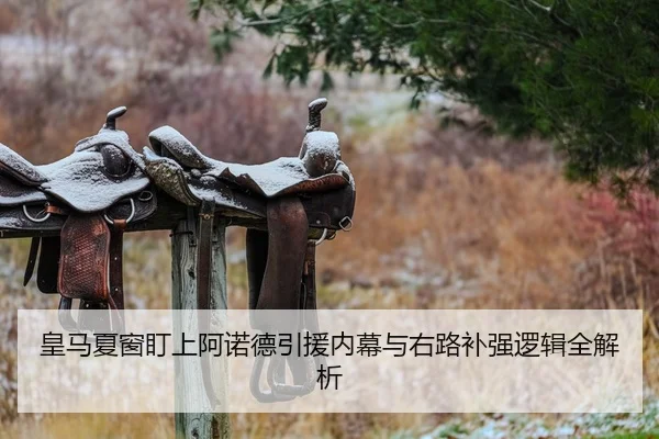皇马夏窗盯上阿诺德引援内幕与右路补强逻辑全解析